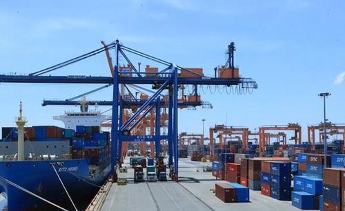 貨幣保衛(wèi)戰(zhàn)輸了 外匯儲備見底與巨額債務下的經濟困境