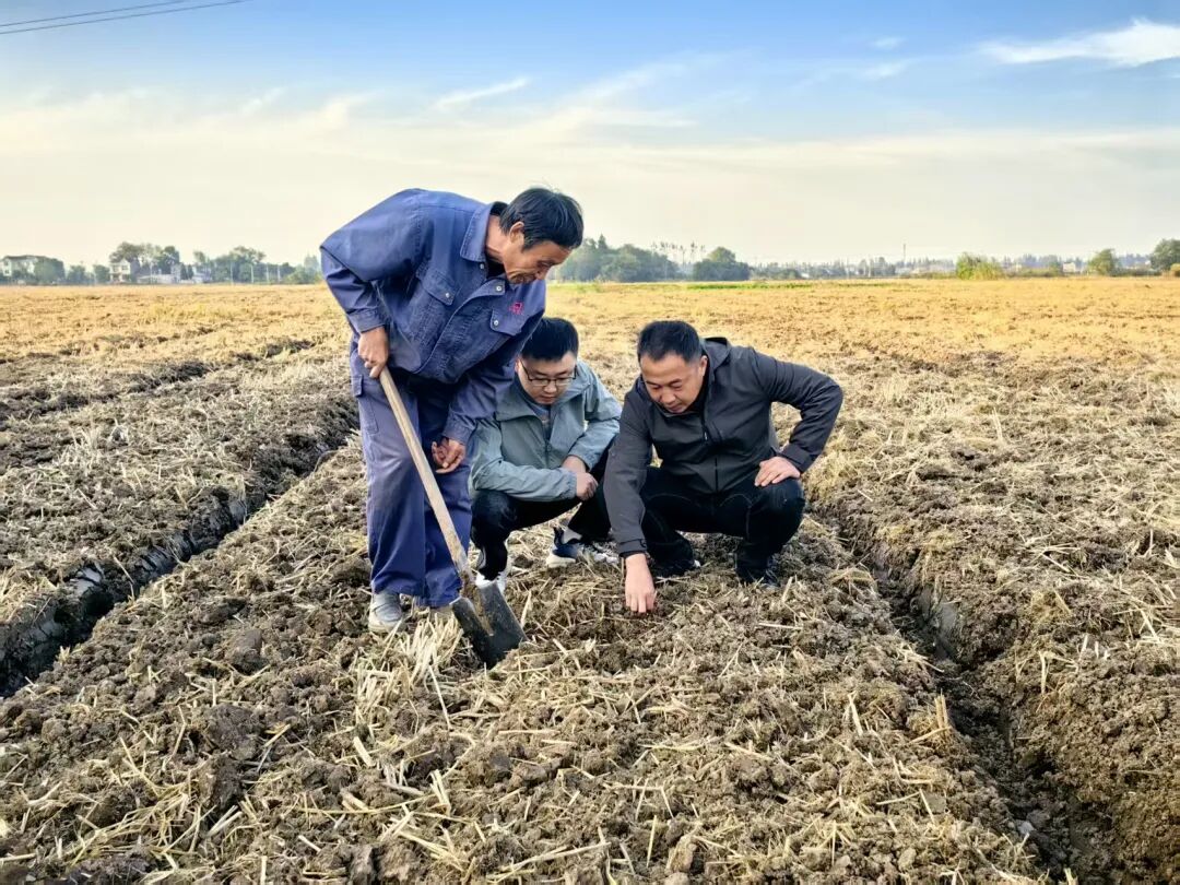 “農(nóng)技+農(nóng)機(jī)”雙擎驅(qū)動，為秋播秋種注入優(yōu)質(zhì)“種子力量”