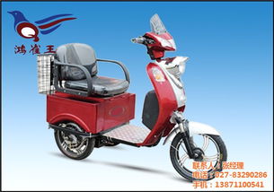 電瓶車保養 鴻雀王電動車廠家 在線咨詢 青海電瓶車